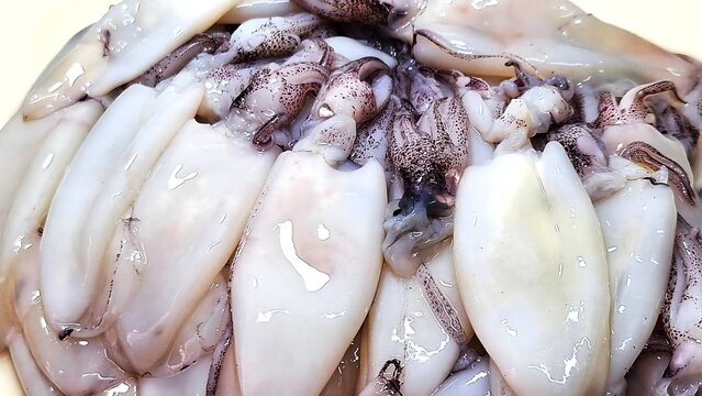 Close-up of fresh raw squids, seafood background.