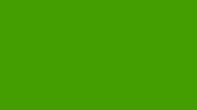 US dollar currency money rain green screen 4k stock videos