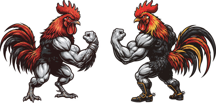 Muscular rooster flexing biceps fighting cock strong bird animal bodybuilder competition.