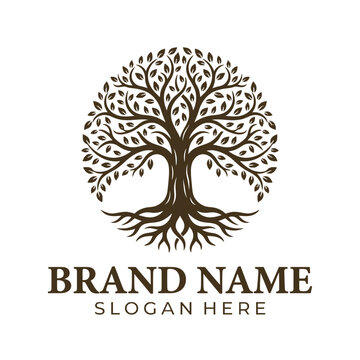 Detailed tree logo with roots and leaves design.
