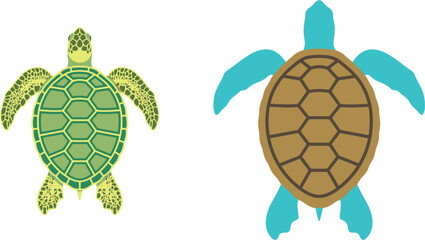 Sea turtle vector collection, realistic and flat marine reptile illustrations isolated on white editable wildlife design artwork © Ara