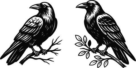 Fototapeta premium Raven bird engraving illustrations, vintage black crow perched on branches isolated editable vector collection for wildlife design