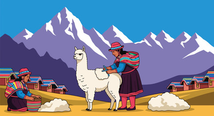 Fototapeta premium Indigenous women shearing an alpaca for wool.