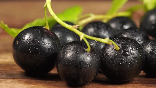 Macro of a blackcurrant bunch with dew drops sliding on wood.