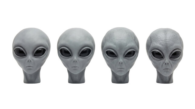 Row of four grey alien heads showing different skin textures isolated on transparent background.