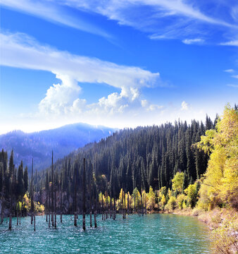 Picturesque autumn scenery of Kaindy lake with dead trees, Kolsay Lakes National Park, northern region of Tien Shan Mountains, Kazakhstan. Alpine Kaindy lake, Almaty region, Kazakhstan