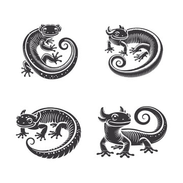 Salamander newt silhouette vector pack featuring curved lizard tail designs for reptile and amphibian branding