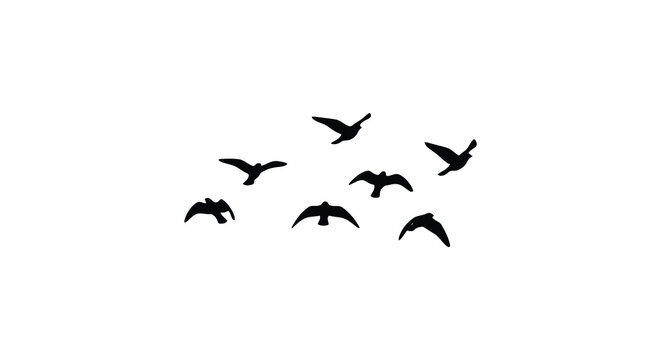 A flock of birds in flight simple black silhouette avian flying