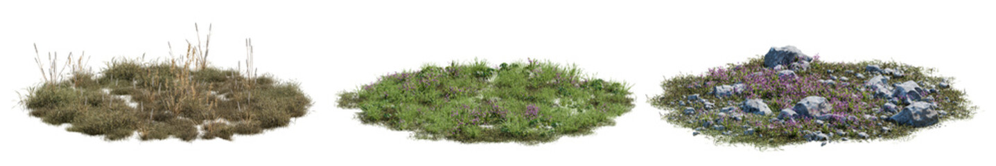 Obraz premium Variations of grass patches featuring dry weeds, small flowers, and rocky soil isolated on a transparent background. Perfect for architectural 3d rendering and digital landscape design