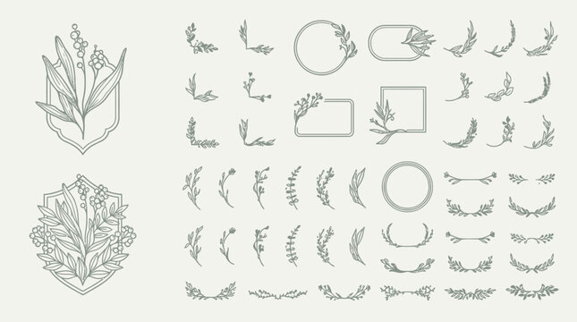 Eine umfangreiche Sammlung von handgezeichneten floralen Elementen, Zweigen, Rahmen und dekorativen Linienornamenten im eleganten minimalistischen Stil f&uuml;r grafische Designprojekte.