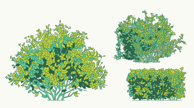 Conjunto de ilustraciones vectoriales de arbustos y setos verdes con estilo de dibujo lineal y colores planos, ideales para dise&ntilde;o de paisajes, arquitectura y jardiner&iacute;a.