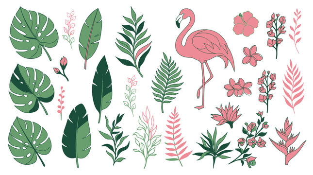 Set di illustrazioni vettoriali con fenicottero rosa, foglie di palma tropicali, fiori esotici e piante della giungla su sfondo bianco, perfetto per design estivi e decorazioni creative.