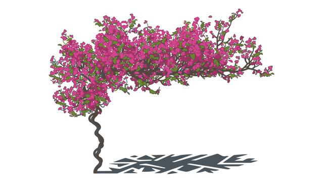 Eine detaillierte Illustration eines bl&uuml;henden Bougainvillea-Baums mit leuchtend pinken Bl&uuml;ten und einem gewundenen Stamm, isoliert vor einem wei&szlig;en Hintergrund f&uuml;r grafische Designs.