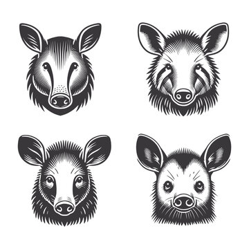 Wild boar warthog head silhouettes featuring stylized pig face icons for hunting club logos and adventure prints