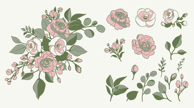 Set di illustrazioni vettoriali con rose rosa e foglie verdi, composizione floreale elegante e singoli elementi botanici disegnati a mano per design decorativo e inviti