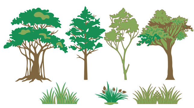 Conjunto de ilustra&ccedil;&otilde;es vetoriais planas representando diferentes tipos de &aacute;rvores e arbustos de grama isolados em um fundo branco para design gr&aacute;fico e paisagismo.