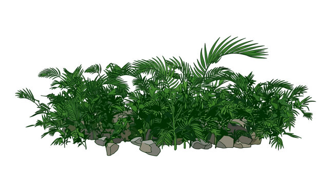 Un grupo de plantas tropicales y palmeras peque&ntilde;as con piedras decorativas en la base, aislado sobre un fondo blanco puro para dise&ntilde;o de jardines y paisajismo.