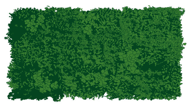 Uma textura de folhagem densa e verde vibrante em formato retangular isolada sobre um fundo branco, ideal para projetos de design gr&aacute;fico, paisagismo e elementos decorativos naturais.