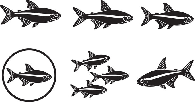 Neon Tetra Silhouette Icon Set Black Aquarium Fish Vector Collection Freshwater Tropical Fish Isolated Illustration