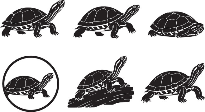 Painted Turtle Silhouette Icon Set Black Freshwater Turtle Vector Collection Aquatic Reptile Isolated Wildlife Illustration