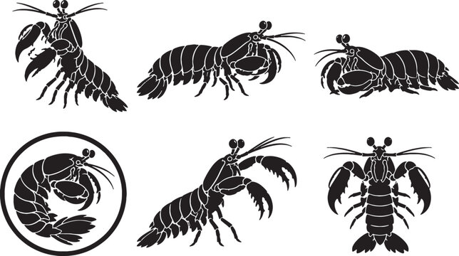 Peacock Mantis Shrimp Silhouette Icon Set Black Vector Marine Crustacean Wildlife Collection Isolated on White