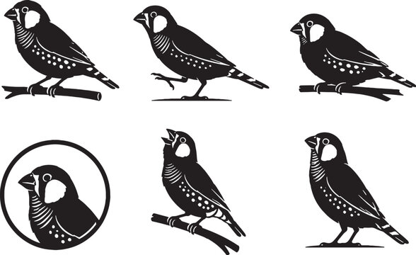 Zebra Finch Silhouette Icon Set Black Vector Songbird Wildlife Bird Collection Isolated on White Background