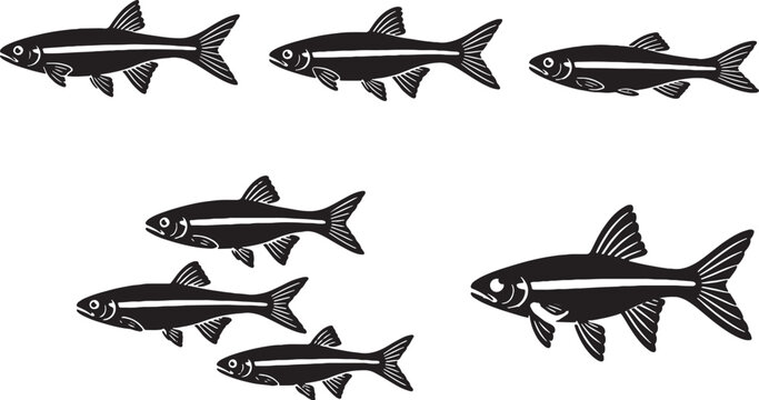 White Cloud Mountain Minnow Silhouette Icon Set Black Vector Freshwater Aquarium Fish Collection