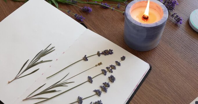 Scented candle burning near open sketchbook with lavender flowers. Coziest herbarium process flat lay composition on wooden table. Botanical collection hobby workshop relaxed atmosphere concept video.