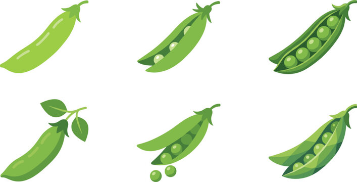 Fresh green pea pods and shelled peas culinary icons with vegetable nutrition culinary ingredient shelling