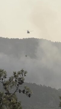 Chopper dropping water on forest fire