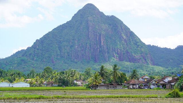 A scenic landscape view of Mount Suwur in Trenggalek Regency, East Java, Indonesia. The majestic, steep-sloped mountain towers over a rural countryside, featuring lush green palm trees, village.