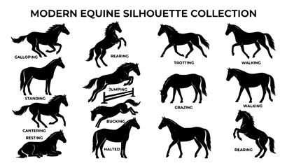 Fototapeta premium Modern Horse Silhouette Vector Set with Black Equine Clipart Collection