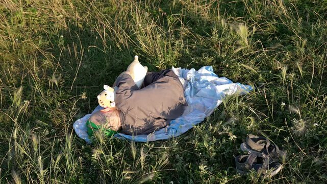 Top-down view of a strange person wearing a pig mask while sleeping on a blanket in a field of tall green grass, creating a bizarre and unsettling atmosphere during a sunny afternoon