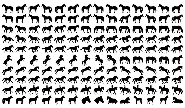 Horse Silhouette Black Clipart Vector Collection with Running and Standing Horses