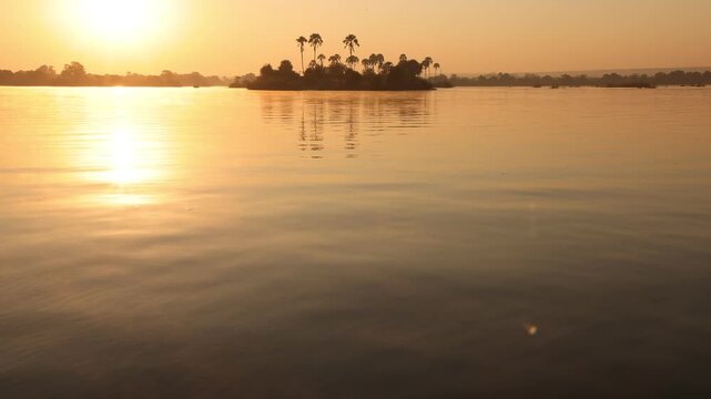 palm trees at sunrise on the Zambezi River, Zimbabwe, Africa
