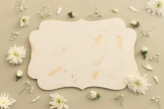 Top view image of white flowers on pastel background