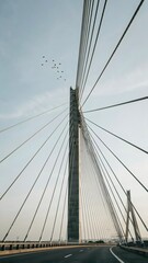 Fototapeta premium Modern Cable-Stayed Bridge with Rising Bird Flock against Clear Sky