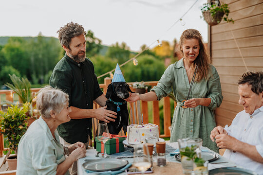 Happy family throwing birthday party for beloved pet dog.