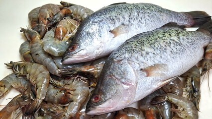 Fototapeta premium Fresh raw fish and shrimps, seafood background, raw food ingredient for cooking.