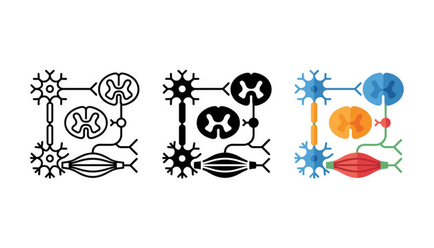 Set of nervous system and spinal cord icons, including neurons and muscle tissue, vector illustration