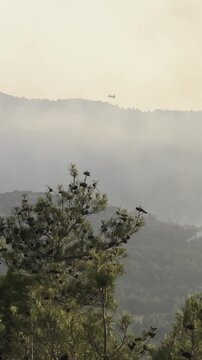 Aerial view of wildfire suppression