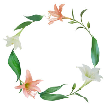 White and orange Lily flower bouquet isolated on transparent background
