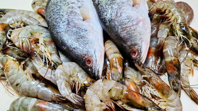 Fresh raw fish and shrimps, seafood background, raw food ingredient for cooking.