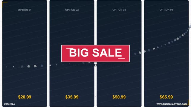 Big Sale E-commerce Pricing Options Interface Graphic