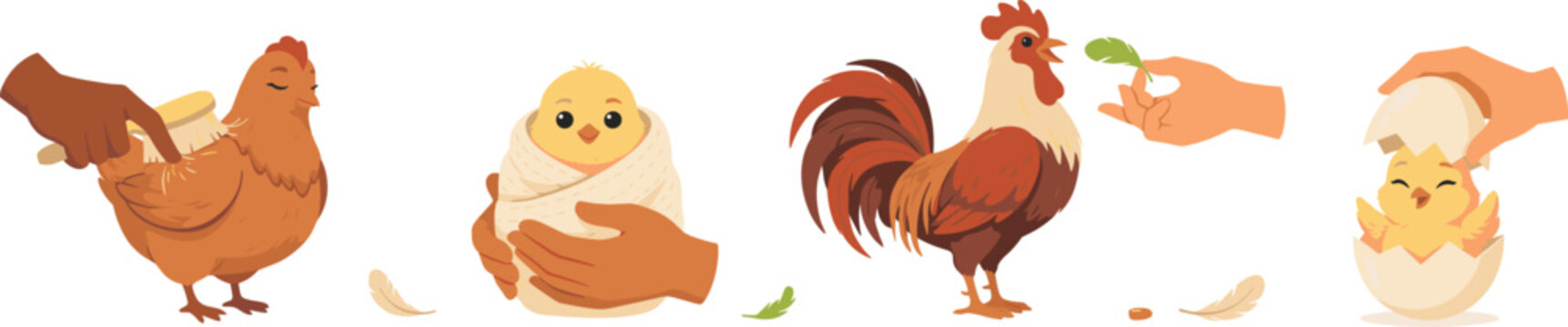 Cute chicken farm vector collection with hands caring for hen rooster and newborn baby chicks hatching from eggs isolated on white background (19 words)