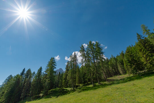 Bright sunburst over a lush green alpine meadow with pine trees under a clear blue sky in the Dolomites