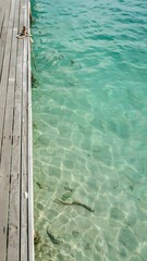 Fototapeta premium Clear turquoise water near wooden dock with underwater rocks and floating rope