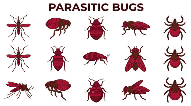 Grid of parasitic insect illustrations including mosquitoes fleas bedbugs flies and ticks in red tones