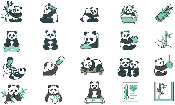 Panda care and daily enrichment activities with feeding health monitoring and bamboo habitat icon set vector illustration