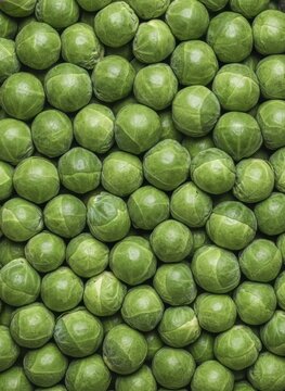 Fresh Brussels Sprouts Background, Top View Texture of Green Vegetables